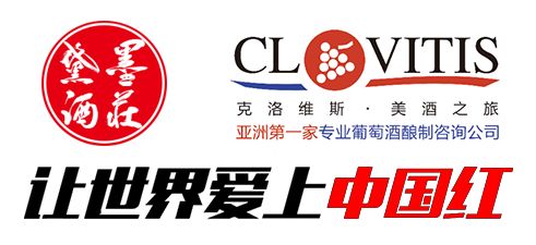 當(dāng)代咨詢視角下，成功紅集團(tuán)如何借助企業(yè)管理咨詢實現(xiàn)轉(zhuǎn)型升級